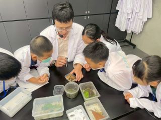 【仿生STEAM教育】螢火蟲的光學溝通