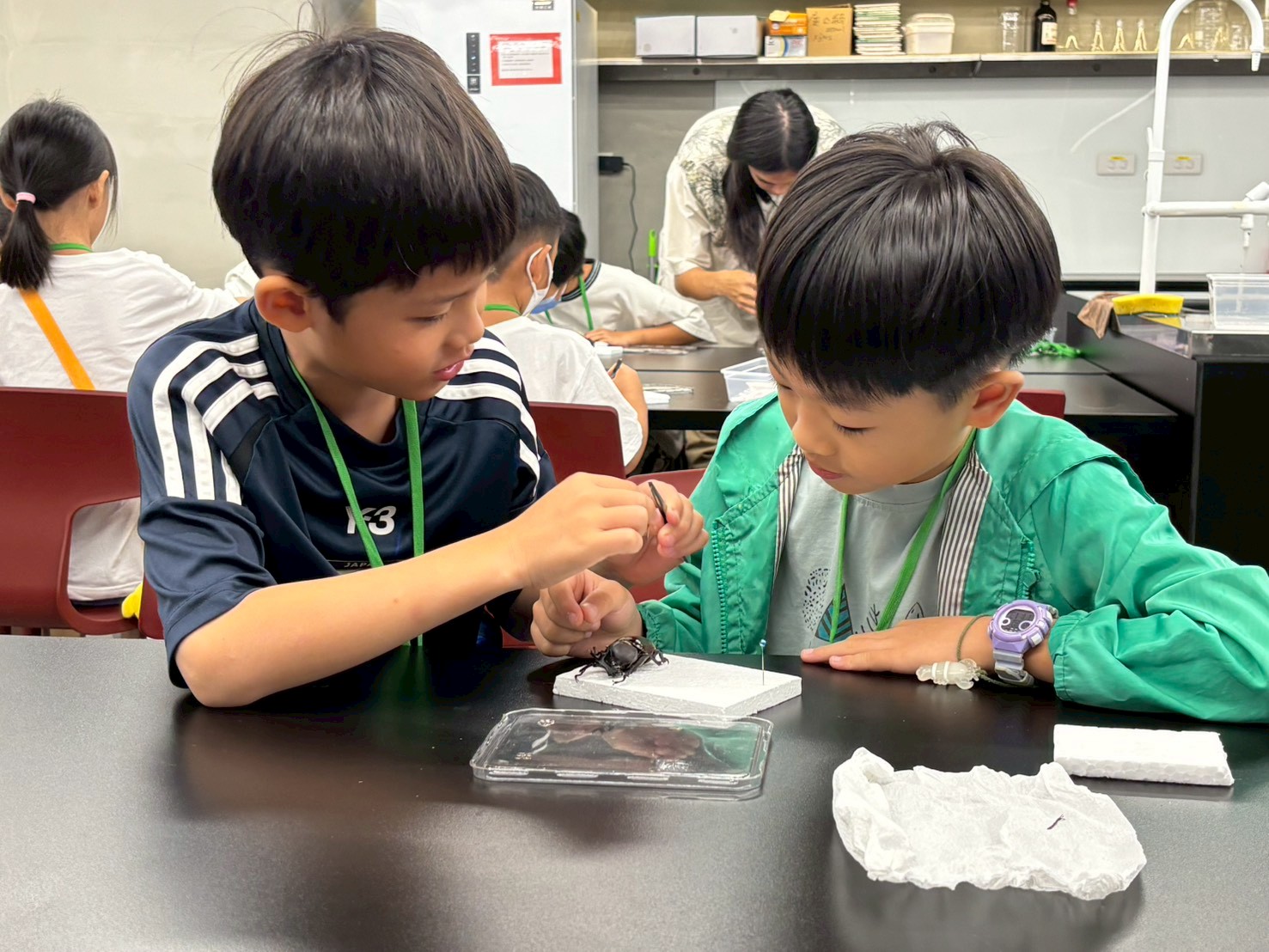 【昆蟲標本家】獨角仙標本製作與昆蟲型態多樣性