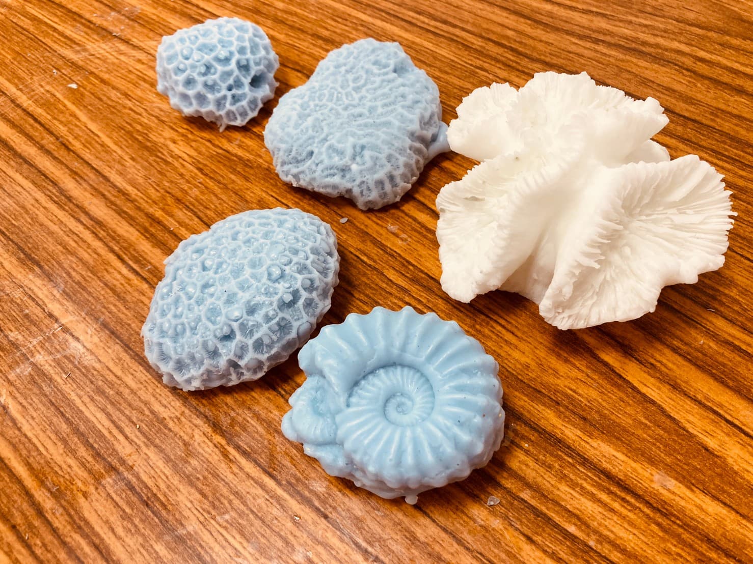 【海洋日】古生物擴香石DIY