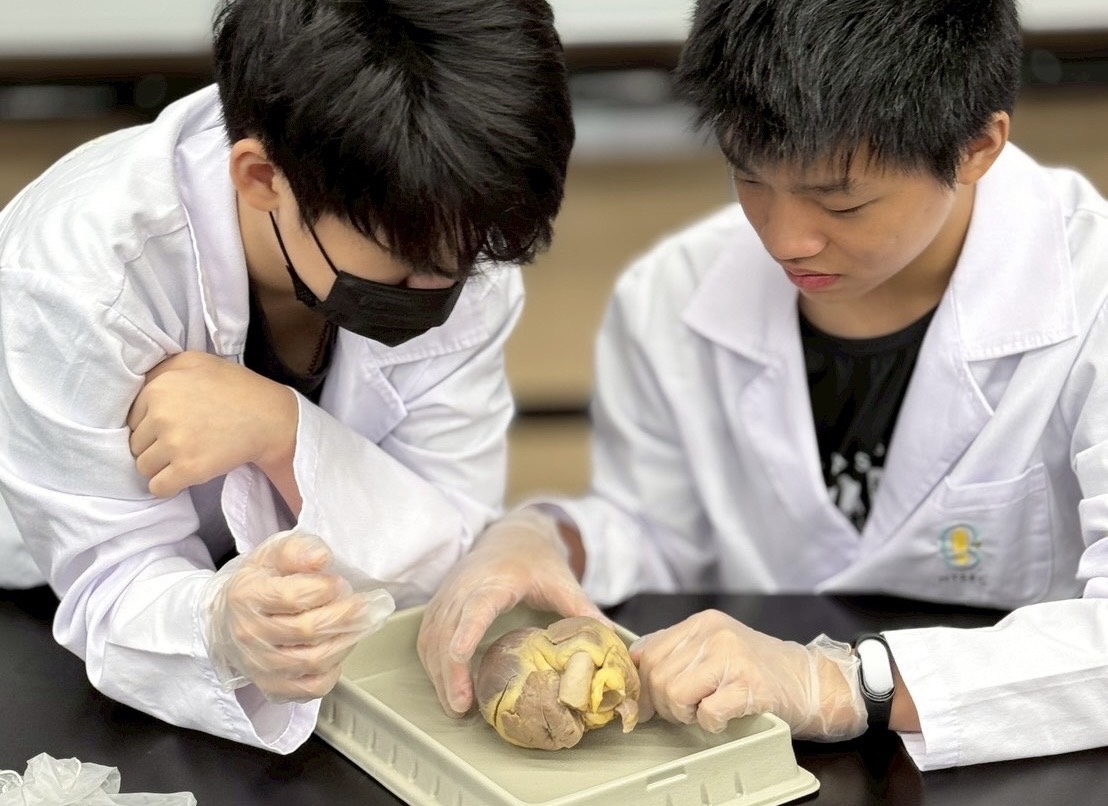 看穿心機解心結：心臟解剖工作坊