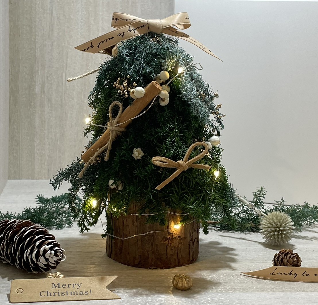 叮叮噹叮叮噹~聖誕樹製作工作坊