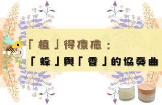 「植」得療癒：「蜂」與「香」的協奏曲