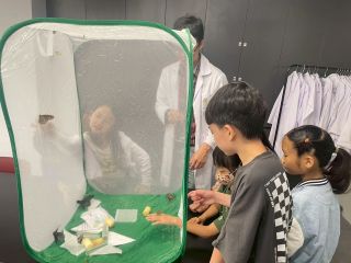 【仿生STEAM系列】昆蟲超能力
