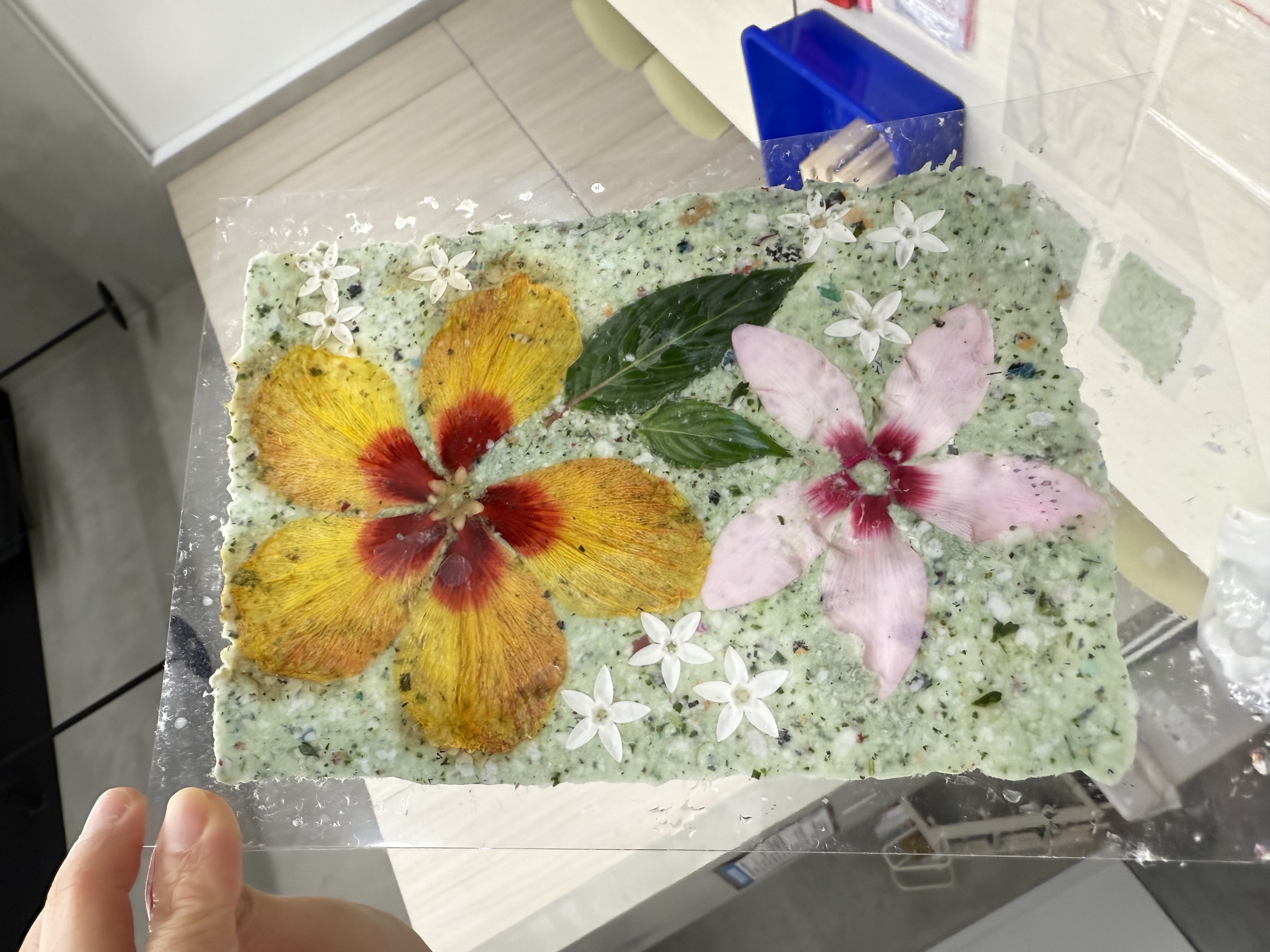 【整點科學】自製再生紙