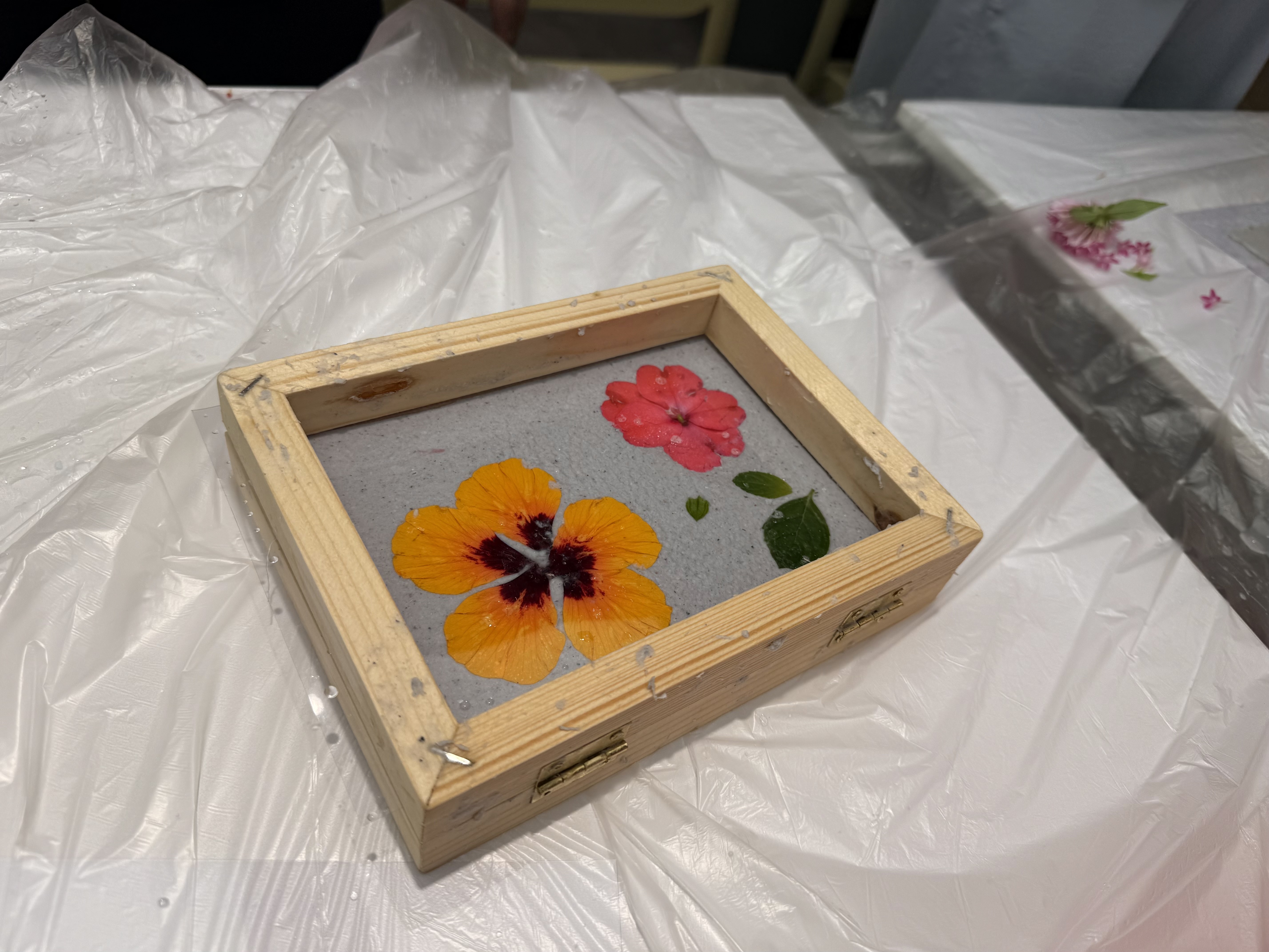 【整點科學】自製再生紙