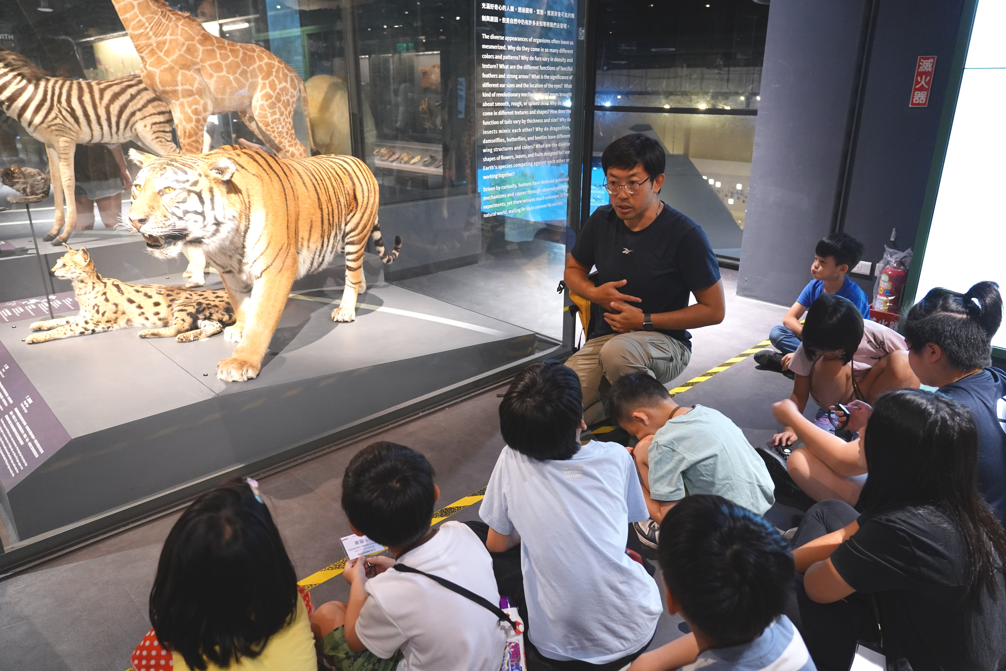 【暑假營隊】博物學家的動物寶盒-從標本看見演化