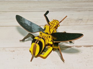 【仿生STEAM教育】昆蟲的溝通與感官世界
