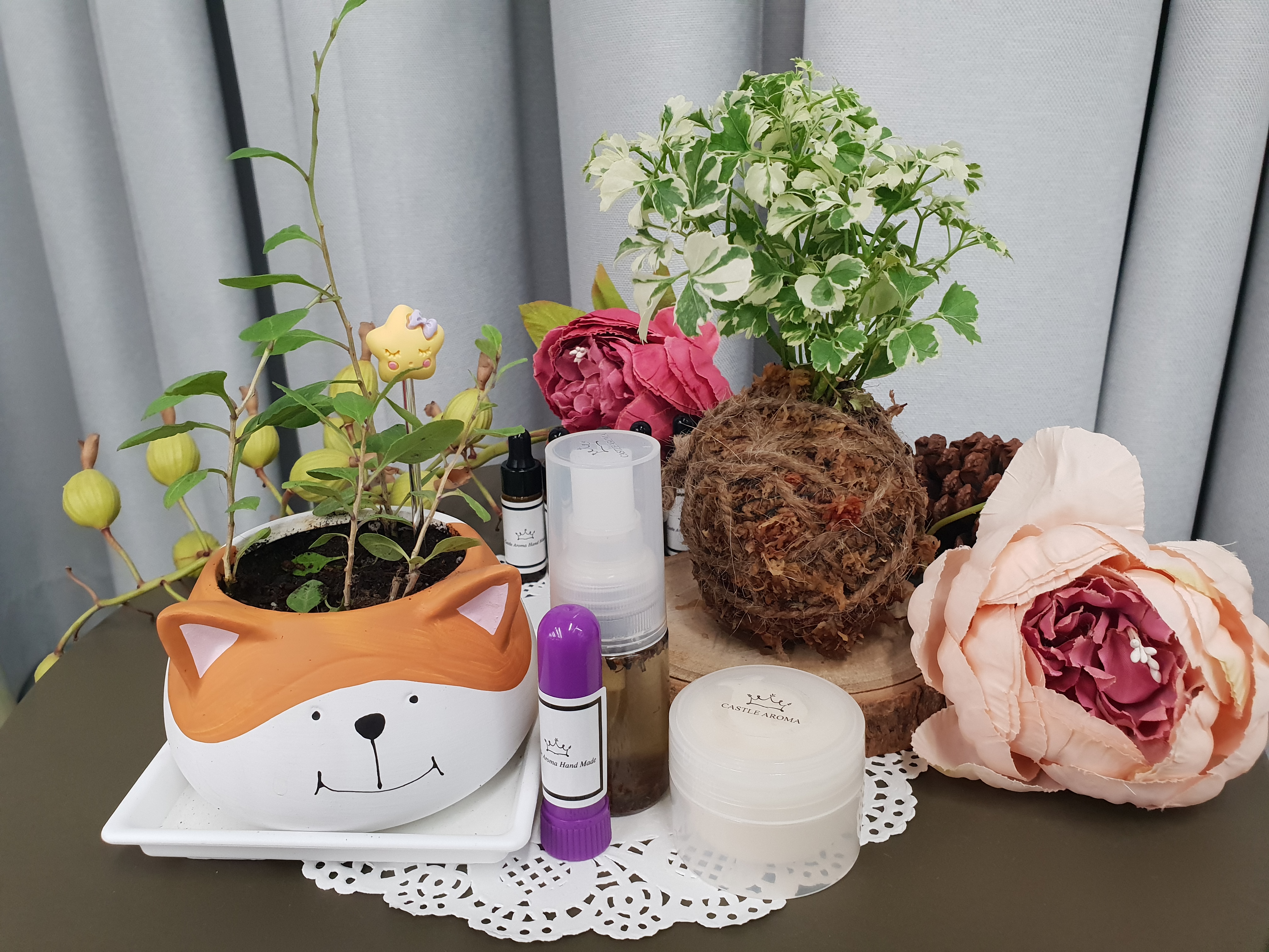芳香森林：植物 × 手作 × 療癒時光