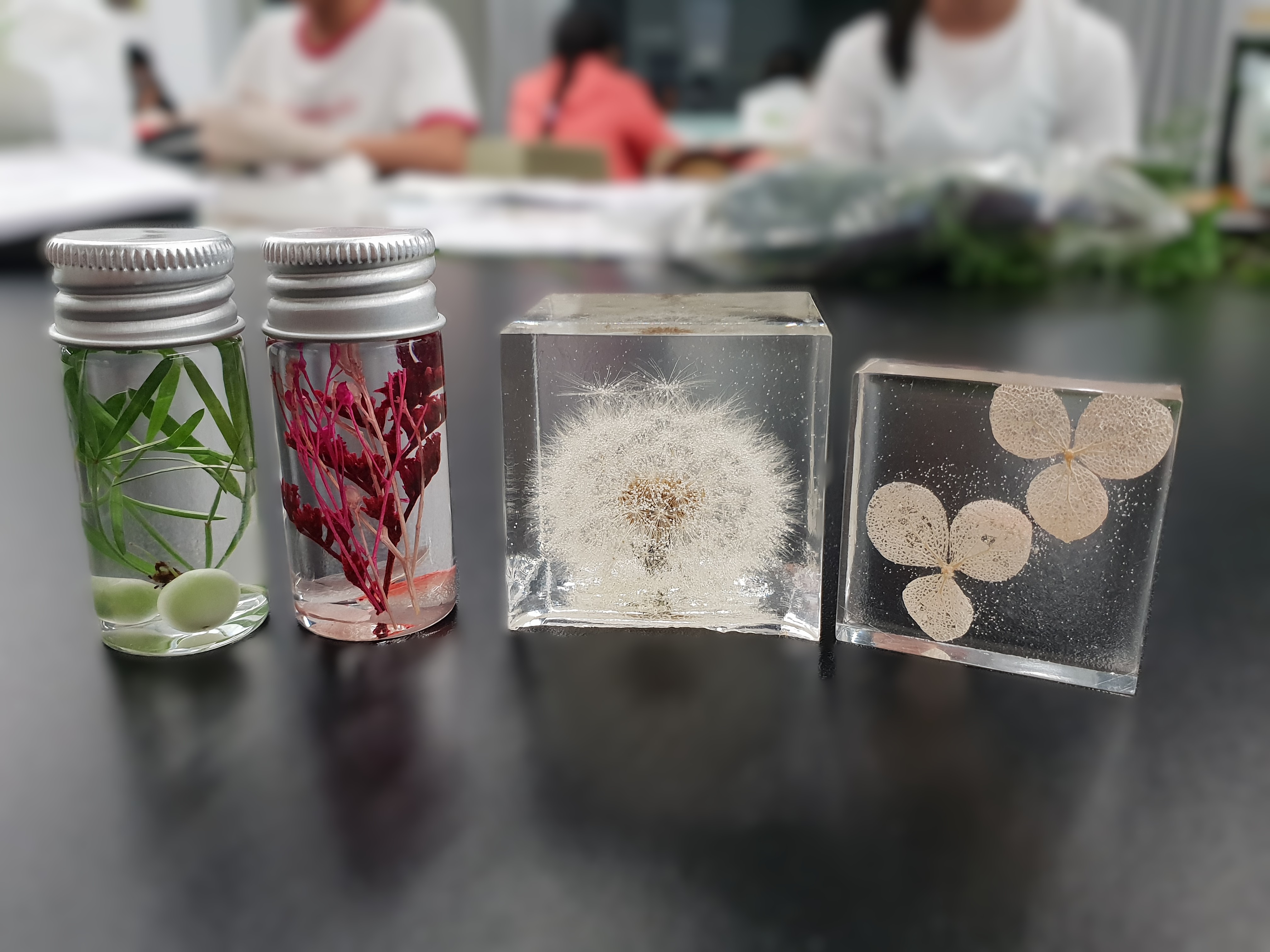 【植物標本製作體驗】