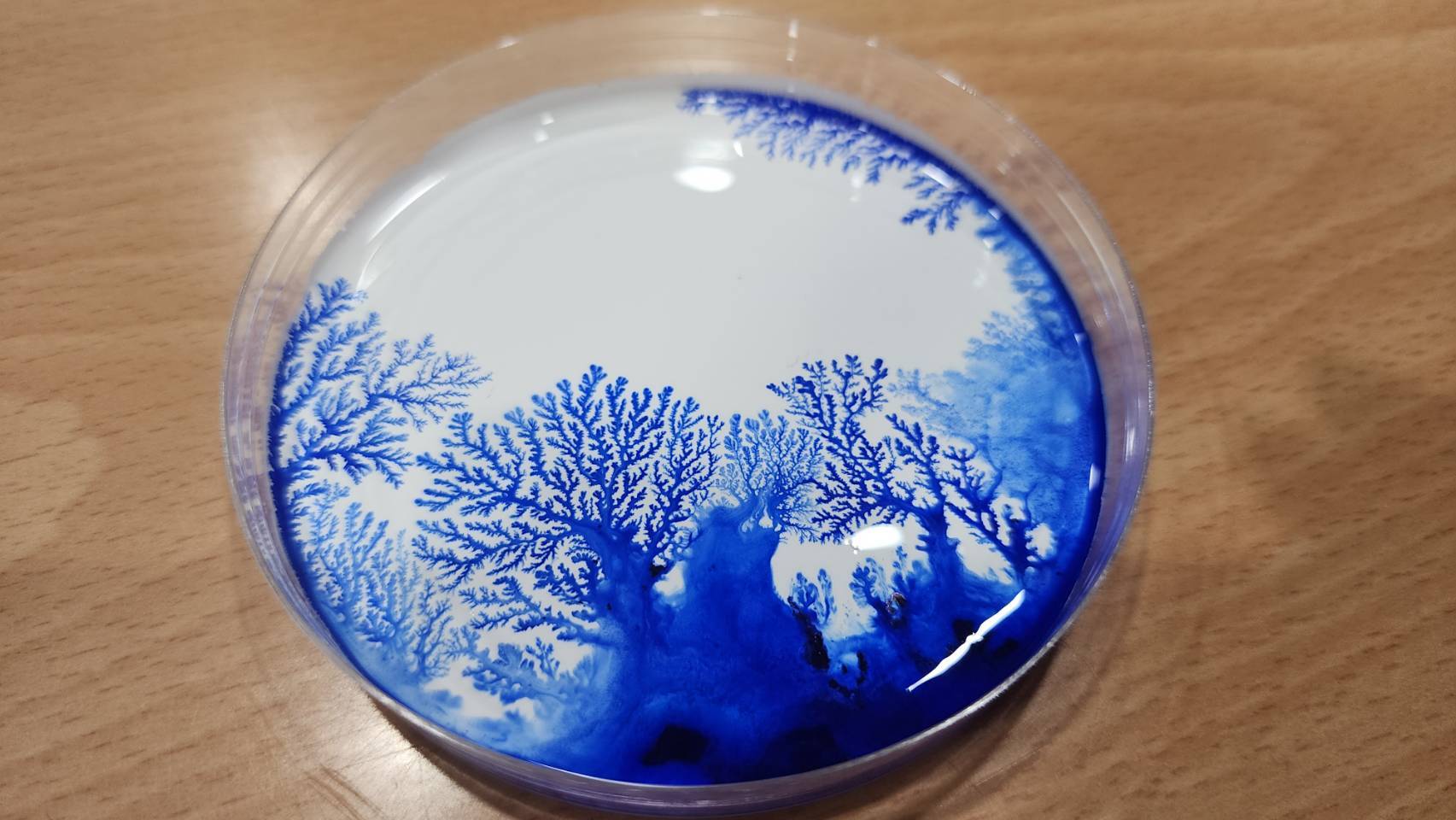 親子玩科學-仿青花分形圖案